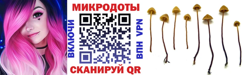 Галлюциногенные грибы MAGIC MUSHROOMS  Купить закладки  Весьегонск 